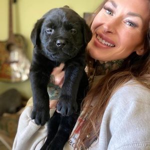 Meet your Posher, Harley